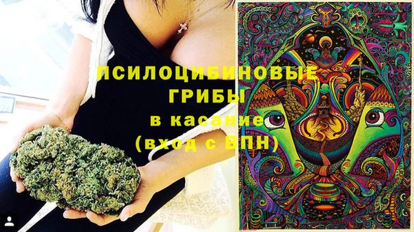 мяу мяу кристалл Арсеньев