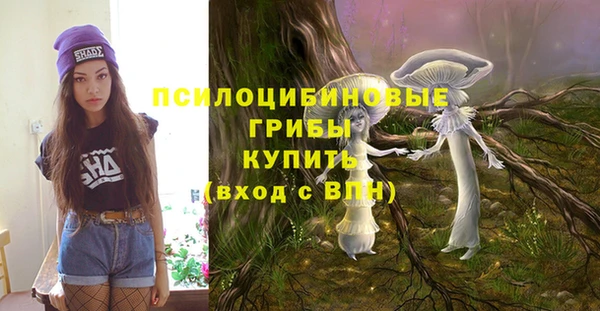 дурь Армянск