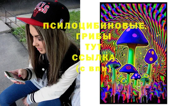 дурь Армянск