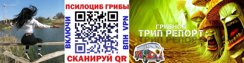 Галлюциногенные грибы MAGIC MUSHROOMS  Сосновый Бор 