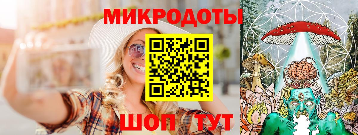 Псилоцибиновые грибы Psilocybe Сосновый Бор