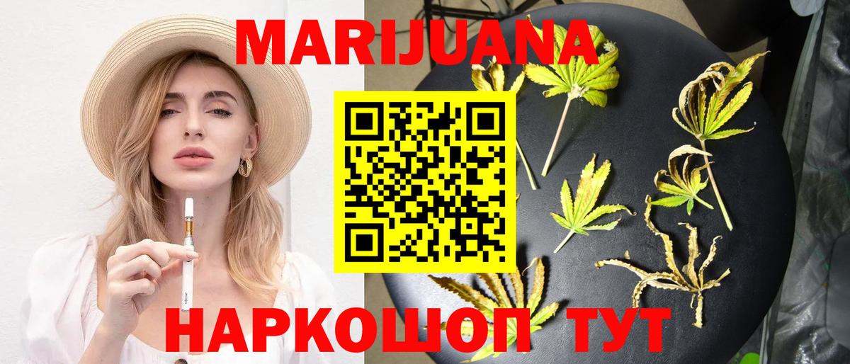 Сосновый Бор  Канабис сатива  Конопля сатива  Вход с VPN  Конопля гибрид 